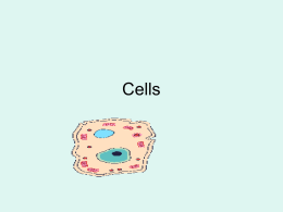 Cells - Cloudfront.net