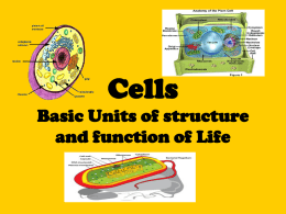 PARTS OF A CELL