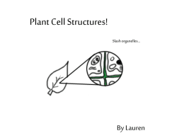 Plant Cell Structures