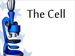 Cells are the basic unit of life.