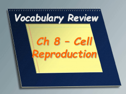 Cell Reproduction Vocabulary Review PPT