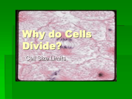 Why do Cells Divide?