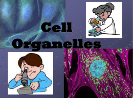 Cell Organelles - Fulton County Schools