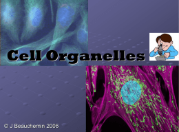 Cell Organelles - Bartlett High School