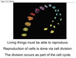 Cell Reproduction 2