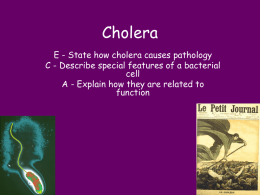 Cholera - KingsfieldBiology