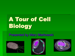 A Tour of Cell Biology