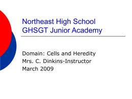 Northeast High School GHSGT Junior Academy