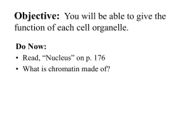 Objective: You will be able to list the parts of the cell theory.