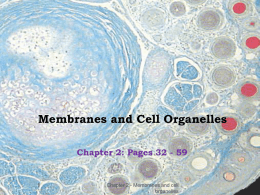 Cells: `Structure & Function`