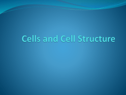 Cells and Cell Structure