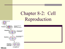 Chapter 8-2: Cell Reproduction