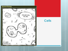 Cells PPT - Dr Magrann