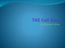 THE Cell Story - aclassyspaceatmas