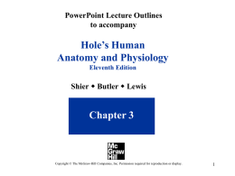 chapter_3_powerpoint_le