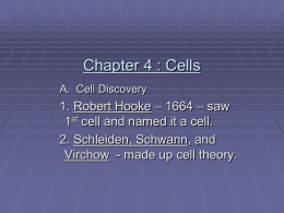 Chapter 4 : Cells - Fort Thomas Independent Schools