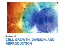 cell growth, division, and reproduction