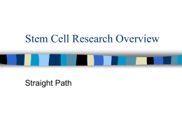 SC_Gen_research_straight_path