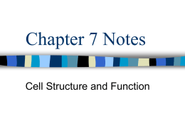 Chapter 7 Notes - Cloudfront.net
