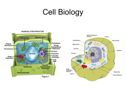 Cell Biology Lecture