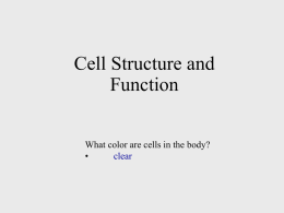 Basic Cellular Review Powerpoint