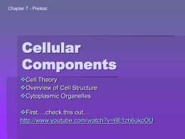 Cellular Components - holyoke