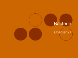 Bacteria - REMC 8 / Kent ISD Moodle VLE