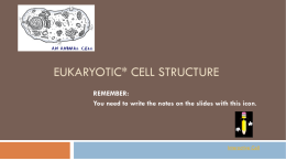 Notes - Cellular Organelles