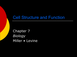 Cell Structure and Function (Chapter 7)