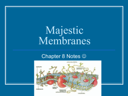 Majestic Membranes