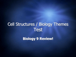 Cells Review and Cellingo Game