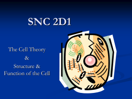Cell Theory and Cell Structure