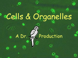 Cells: Chapt. 5 & Chapt. 4: Pgs. 70-75