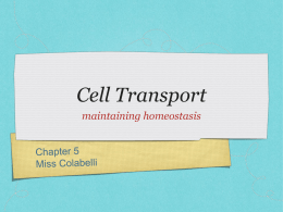 Cell Transport PPT