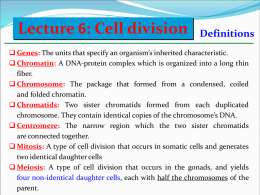 Lecture 6: Cell division
