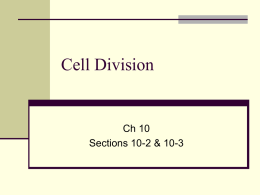 2. Cell Division