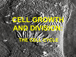 CELL GROWTH AND DIVISION: