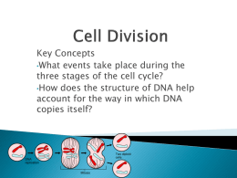 Cell Division - ScienceRocks8