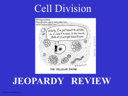 mitosis-meiosis jeopardy