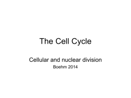 1. Cell division functions in reproduction, growth, and repair