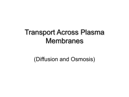 Cell Transport (Diffusion and Osmosis)