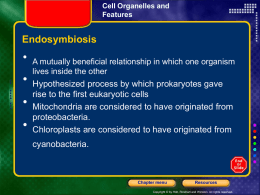 Cell Organelles and Features