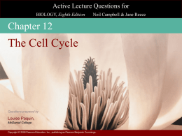 Chapter 12_Active_Lecture_Questions