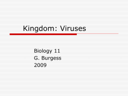 Kingdom: Viruses