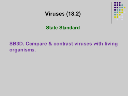 Virus Notes (18.2)