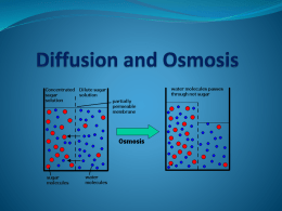 Diffusion and Osmosis