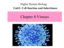 Chapter-8-Viruses - Mrs Smith` s Biology