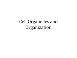 Cell Organelles and Organization