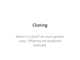 Cloning - s3.amazonaws.com