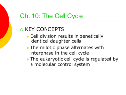 Ch. 12: The Cell Cycle
